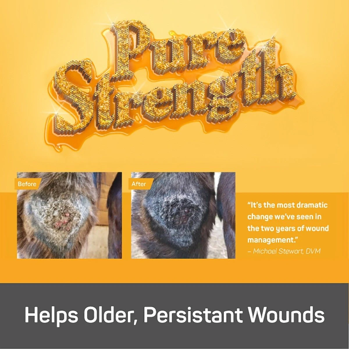 Absorbine® Silver Honey® Rapid Wound Repair Ointmen - Image 4