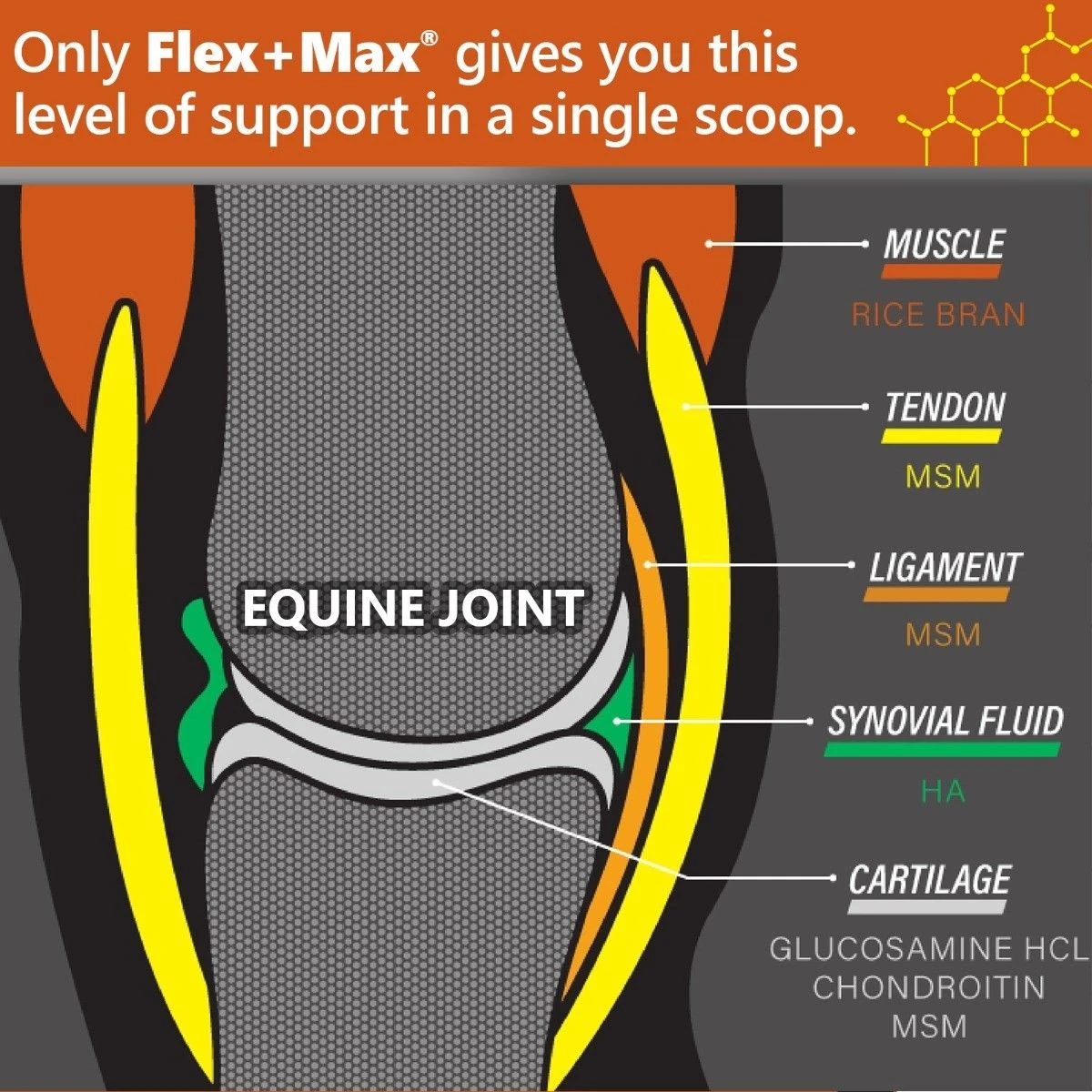 Absorbine® Flex+Max® Joint Health Supplement Pellets 30 DAY - Image 3