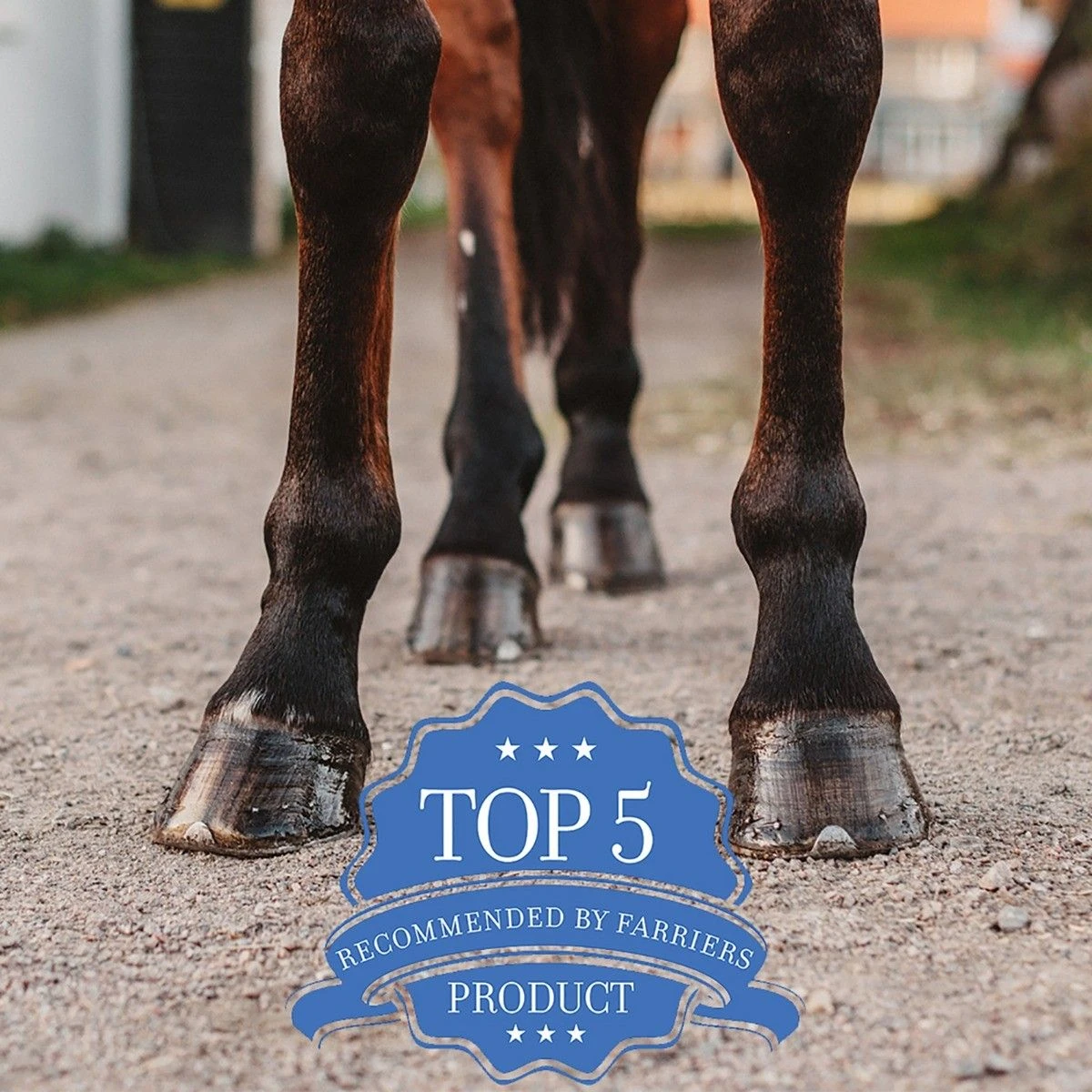 Absorbine® Magic Cushion® - Image 5