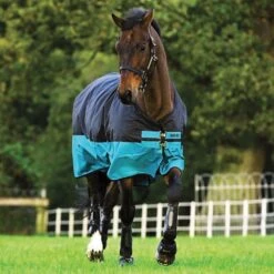 Amigo® Mio Pony Turnout Sheet Two-Tone Lite