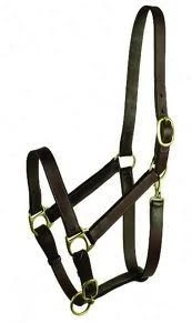 Gatsby Economy Leather Halter