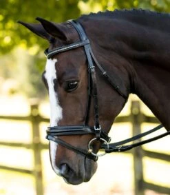 KL Select Italia Pirouette Bridle