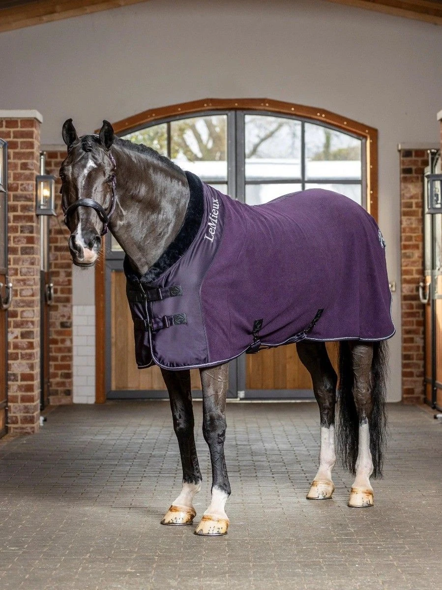 LeMieux Fleece Blanket