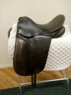 County Warmblood 17" W