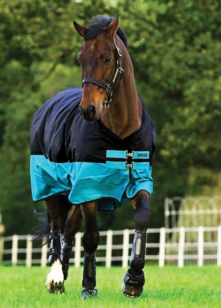 Amigo Mio® Turnout (200g Medium)