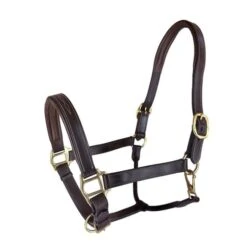 RHC Padded Leather Halter With Fancy Stitching