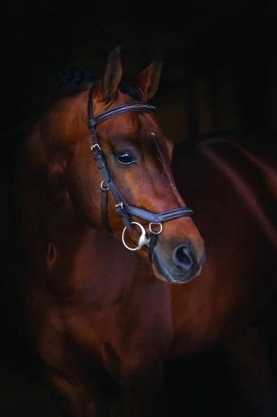 Rambo® Micklem Deluxe Competition Bridle