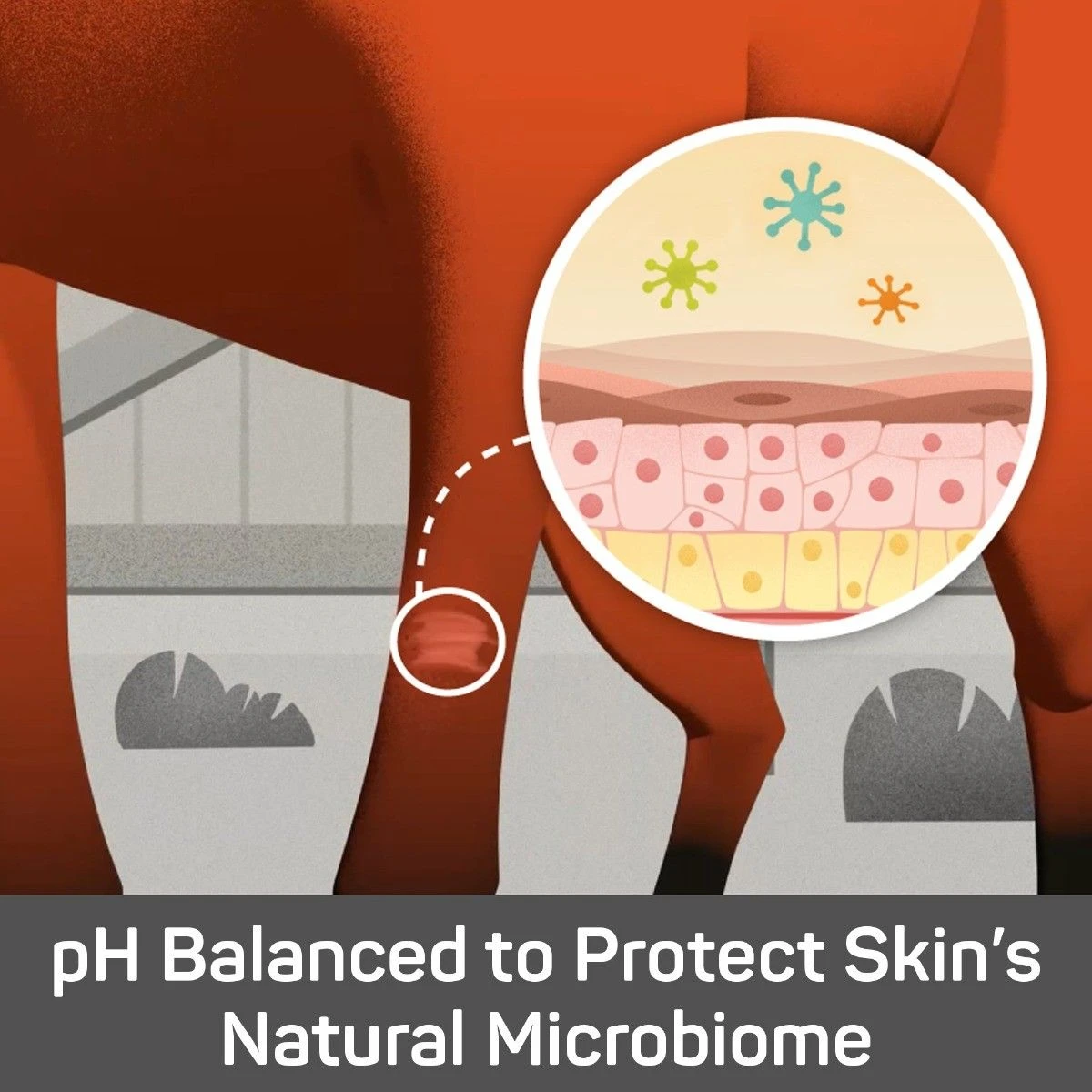 Absorbine® Silver Honey® Rapid Skin Relief Medicated Shampoo - Image 3